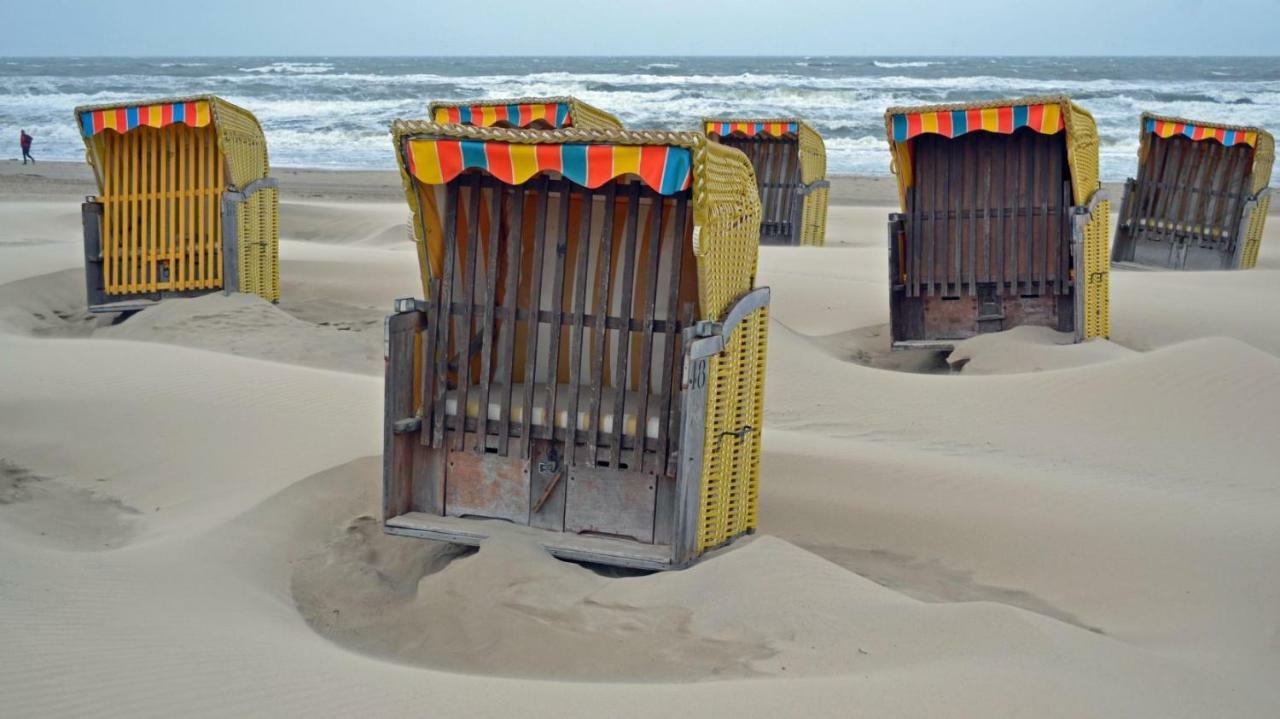Zeesterflat 117 Egmond aan Zee Zewnętrze zdjęcie